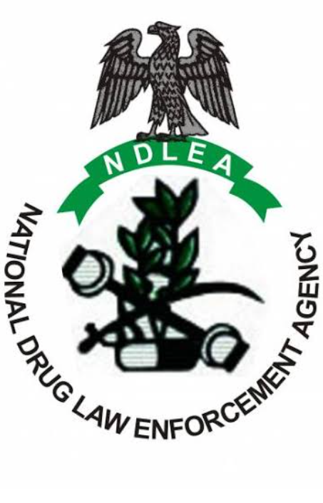 Nigeria Drug Law Enforcement Agency (NDLEA) Shortlisted Candidates 2024/2025 Final List is Out